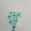 Sementes de Melão com Flores Secas de Yunnan, Flores Frescas Feitas à Mão, Flores Reais para Decoração de Casa, Adereços de Fotografia, Atacado