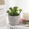 Mini maceta de pulpa suculenta simulación al por mayor Planta suculenta simulación decoración del hogar adornos pequeños exclusivo transfronterizo
