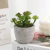 Suculenta artificial en maceta Diamante pequeño bonsái decoración planta verde de oficina venta caliente transfronteriza planta suculenta mayoreo