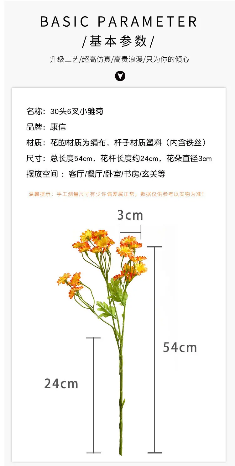小邹菊_07.jpg