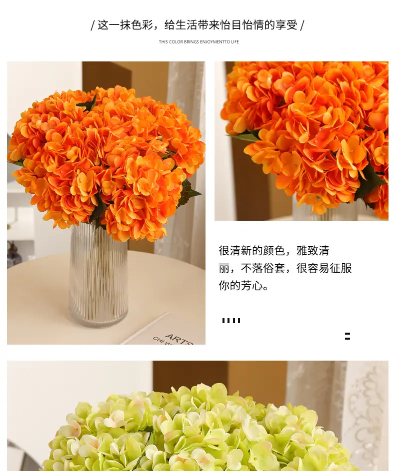 两叶绣-球_08.jpg