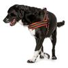 Correa para mascotas personalizable arnés para pecho para mascotas con visión nocturna a prueba de explosiones reflectante correa para perro cuerda para perro suministros para mascotas al por mayor
