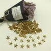 Accesorios Metálicos Irregulares para Estampado en Caliente, Decoraciones de Mezclilla, Remaches Plateados, Pedrería Metálica Plana con Dorso Caliente, Piezas para Ropa DIY