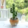 Suculenta Cactus de Espuma DIY Micro Paisaje Planta Tropical Decoración de Pared Flor Falsa Envío Directo Flor Artificial