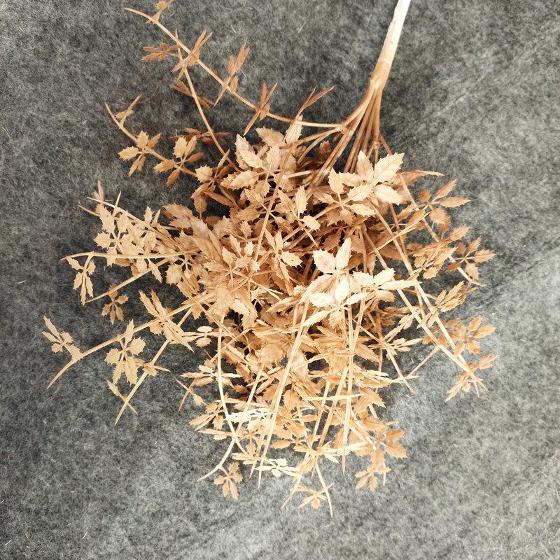 秋黄
