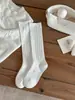 Nuevos calcetines largos de punto liso versátiles adelgazantes para mujer de otoño e invierno con compresión ligera, calcetines holgados simples estilo ballet, absorbentes de sudor
