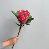 Flores Imperiales Artificiales de Alta Gama, Flores de Princesa Sudafricana, Decoración para el Hogar, Adornos para la Sala de Estar, Flores Decorativas para Fotografía de Bodas