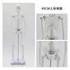 Enseñanza 85CM Estructura Muscular y Ósea Humana Modelo de Esqueleto de Cuerpo Completo Columna Vertebral Desmontable Cráneo Principiante de Yoga
