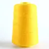 Hilo de Poliéster de Colores para Coser Bolsas, Hilo de Sellado para Máquina de Coser de Bolsos de Mano, Hilo de Sellado para Empaque de Bolsas Tejidas, Hilo para Zongzi, Hilo y Aguja de Alta Resistencia