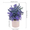 Nueva Planta Verde Artificial Más Vendida en Amazon Plantas en Maceta Estilo Europeo Frescas Decoraciones para el Hogar Venta al por Mayor de Fábrica Plantas Verdes Decorativas