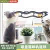Gato Chupón Pista de Bolas Colgante de Pared Plástico Tenis de Mesa Gato Dispositivo Divertido Vidrio Juguete para Gato auto-Hi aliviando congestionado