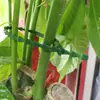 Pinza de unión para plantas de jardín, flores trepadoras, plántulas, alambre de atar y modelado, tipo espina de pez, verde, 13/17cm, transfronterizo