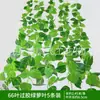 Enredadera Parthenocissus Uva Hoja de Vid Verde Pegada con Goma Decoración de Vid Falsa para Enrollar Tubería Enredadera Verde Plantas Verdes Plantas de Hojas Verdes