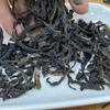 Té Yunxiang Dahongpao Té Oolong Alpino Té Oolong Tostado al Carbón Té Procesado Venta al por Mayor Dahongpao