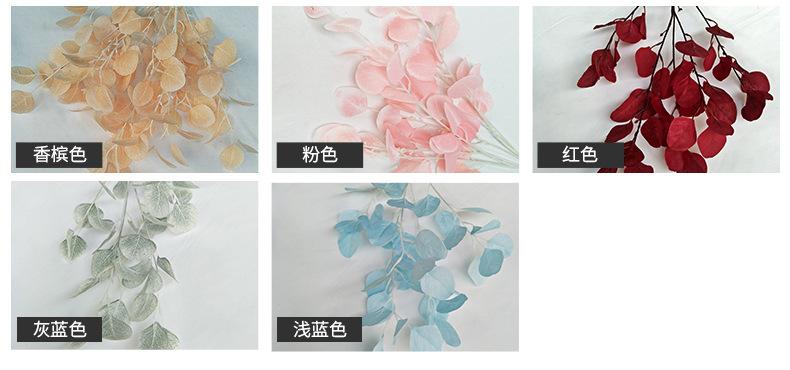 产品颜色