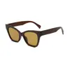 Óculos de Sol Cat-Eye New Retro Transfronteiriços para Mulheres, Óculos Simples Europeus e Americanos de Celebridade da Internet, Anti-UV Atacado