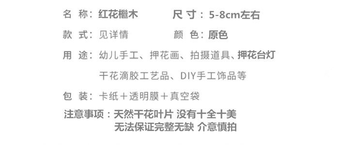 红花檵木.png