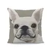 Funda de almohada con estampado de animal popular de Temu transfronteriza Cojín suave personalizado para sofá Funda de almohada decorativa para el hogar y el dormitorio