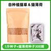 Venta Directa de Fábrica Semillas de Hierba para Gatos, Cultivo Hidropónico de Hierba para Gatos, Hierba para Gatos, Bolas para Eliminación de Pelo para Gatos, Nutrición para Gatos Perezosos