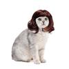 Peluca de gato de pelo largo y rizado con ondas grandes, ideal para fiestas, suministros para mascotas, bonita y elegante.