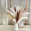 Conjunto de capim-dos-pampas seco buquê de flores secas ornamentos decorativos nórdicos decoração de sala de estar suprimento transfronteiriço Amazon