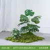 Simulación de Combinación de Plantas Verdes Paisajismo Plantas Falsas Musgo Biónico Rincón Interior Debajo de las Escaleras Micro-Paisaje Decoración Plantas Pequeñas en Maceta