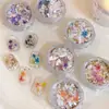 Material de Flores Secas Lentejuela Joyería para Uñas Celebridad de Internet Color Verano Caliente Flor Ópalo Polvo Material Bolsa Accesorios para Uñas