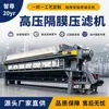 Guangdong Zhizun Equipo de Tratamiento de Aguas Residuales 1000 Filtro Prensa Automático de Diafragma Filtro Prensa de Placas y Marcos Deshidratador de Lodos