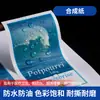 Pegatinas Personalizadas, Etiquetas Publicitarias Autoadhesivas, Pegatinas con Forma de Dibujos Animados, Etiquetas Selladoras Transparentes de PVC Impermeables para Comida para Llevar