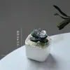 Zibo adornos de esmalte de color manualidades especialidad de Boshan brotes de frijol de vidrio planta verde en maceta de moda flores decoración de escritorio regalo