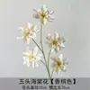 5 Flores de Begonia Artificiales para Decoraciones de Boda, Decoración del Hogar, Accesorios de Fotografía y Flores Falsas