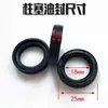 Compatible con Repuestos de Bomba para Lavado de Autos Black Cat Kit de Reparación de Máquina Limpiadora Cabezal de Bomba Válvula Reguladora de Presión Filtro 280380