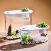 Pecera de Escritorio Simple Pequeña de Plástico Transparente Ovalada de Presión Negativa con Tapa Decoración de Sala de Estar Tanque para Tortugas