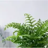 Planta en maceta Helecho Jim para sala de estar interior, Helecho de hoja perenne, Purificador de aire, Fácil de cuidar, Planta verde popular, Tolerante a la sombra
