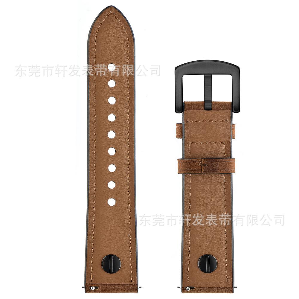 红棕疯马 (6).jpg