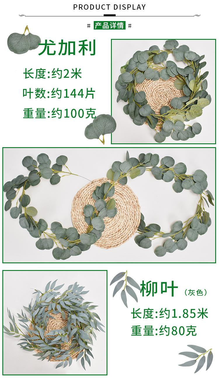 藤条1_02