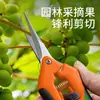 Tijeras para Cosecha de Frutas Transfronterizas, Tijeras de Podar de Jardín, Tijeras Finas para Frutas y Uvas de Jardinería, Tijeras Especiales para Cosecha de Frutas y Verduras para Podar Ramas