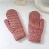 Luvas de Inverno Femininas de Camada Dupla com Punho e Pelo de Coelho Espesso de Cor Sólida para Calor e Proteção contra o Frio, Adequadas para Ciclismo, Luvas para Adultos