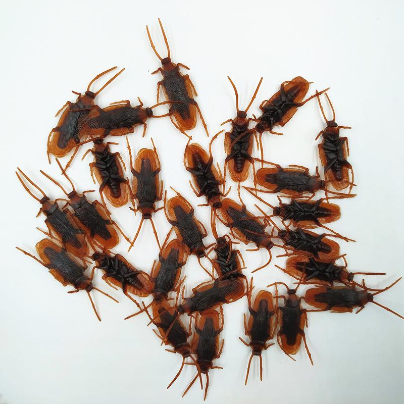 蟑螂