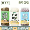 Arroz de Cevada das Terras Altas Planalto Qinghai-Tibete Sementes Oeste Cevada Azul das Terras Altas Grãos Cevada Branca das Terras Altas Multigrãos Cevada Preta das Terras Altas Grãos de Trigo Mingau Multigrãos