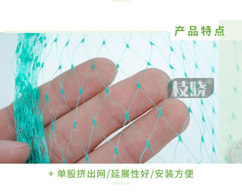 澳莉嘉详情页-配件-防鸟网2_04.jpg