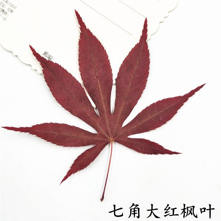 IMG20190111172916