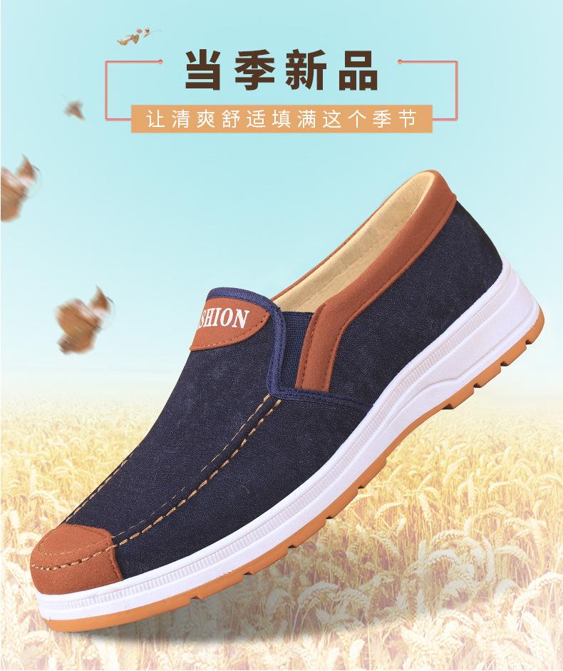 详情10