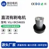 Motor DC para Eletrodomésticos 12V24V Motor com Escovas Universal para Pequenos Eletrodomésticos Eficiente Economia de Energia Venda Direta de Fábrica