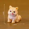 Mini Paisagem Criativa Fofa Boneca Cachorrinho Branco Caixa Surpresa Decoração de Jardinagem Acessórios Carro Desktop Mini Enfeites