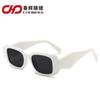 Gafas de Sol de Moda Cuadradas de Montura Pequeña Distintivas Angulares Gafas de Fotografía Callejera Transfronteriza 2831