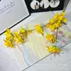 Flor Artificial Lírio-da-chuva de Galho Longo Decoração de Salão de Casamento Flor Colocação na Sala de Estar Adereços de Fotografia Fabricante Flores Artificiais Atacado