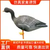 Suministro directo de fábrica cebo de caza para exteriores pavo canadiense ganso IXPE decoración de cebo de caza plástico personalizable