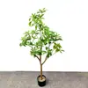 Planta Artificial Lujo Vegetación Falsa Paisajismo Biónico Adorno Decorativo Árbol Falso en Maceta para Interiores