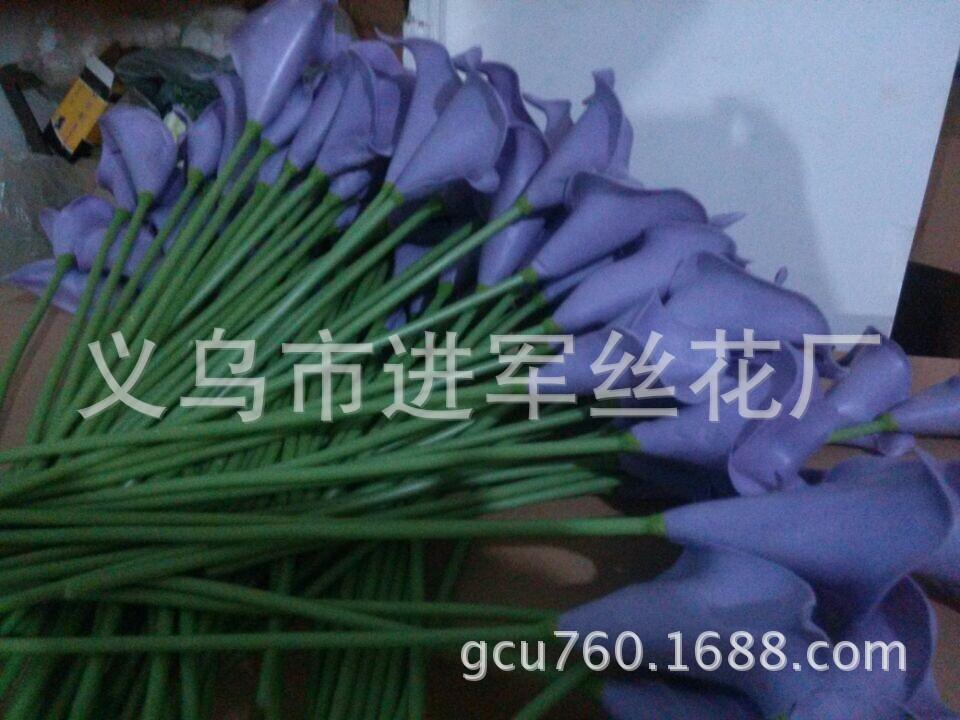 马蹄浅紫色1